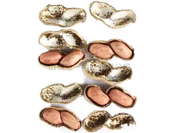 濰花25號(hào)花生種如何提高收成